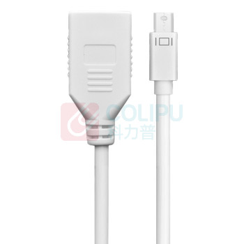 绿联 UGREEN Mini DP转DP转换器线 10445 