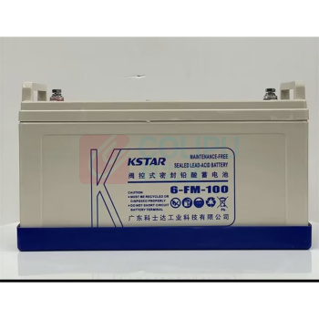 科士达 KSTAR 蓄电池 6-FM-100 12V100AH 