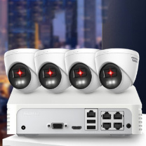 海康威视 HIKVISION 监控器 DH-IPC-HDW 高清红外半球型网络POE摄像机,高清红外枪型网络POE摄像机,NVR嵌入式硬盘录像机,POE交换机,8T硬盘,24寸监视器