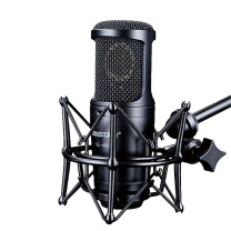 得胜 TAKSTAR 旁述式录音麦克风 GL-400