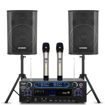 HYUNDAI 会议音响套装 M10 AV500 【两音响/双话筒】(20-120平)