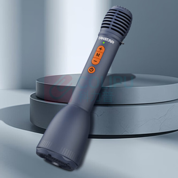 得胜 TAKSTAR 话筒音响一体麦克风 DA10S (星耀黑)