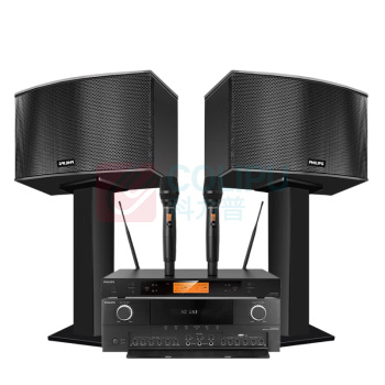 飞利浦 PHILIPS 音响套装二 CSS1310D10 (10英寸音响2只/功放/一拖二手持话筒)