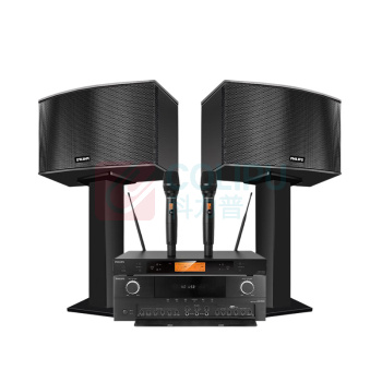 飞利浦 PHILIPS 音响套装二 CSS1310D10 (10英寸音响2只/功放/一拖二手持话筒)
