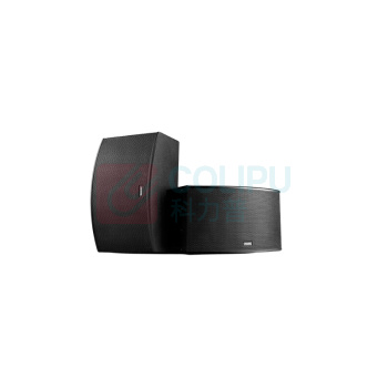 飞利浦 PHILIPS 音响套装二 CSS1310D10 (10英寸音响2只/功放/一拖二手持话筒)