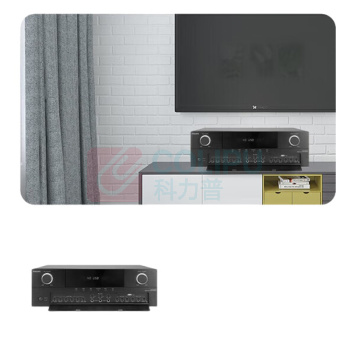 飞利浦 PHILIPS 音响套装二 CSS1310D10 (10英寸音响2只/功放/一拖二手持话筒)