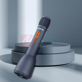 得胜 TAKSTAR 麦克风 DA10S (星耀黑) 话筒音响一体麦克风