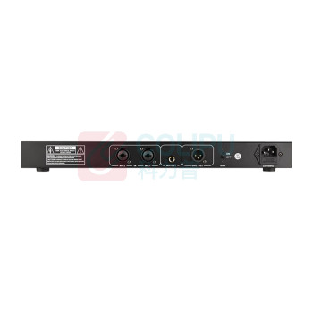 得胜 TAKSTAR 数字反馈抑制器 DF-2 2进2出 (黑色)