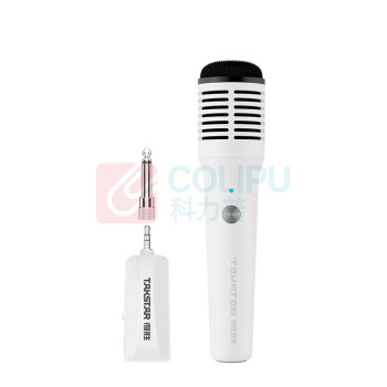 得胜 TAKSTAR 麦克风 HM-300W