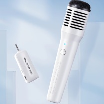 得胜 TAKSTAR 无线手持麦克风 HM-300W