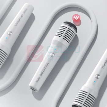 得胜 TAKSTAR 无线手持麦克风 HM-300W