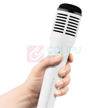 得胜 TAKSTAR 无线手持麦克风 HM-300W