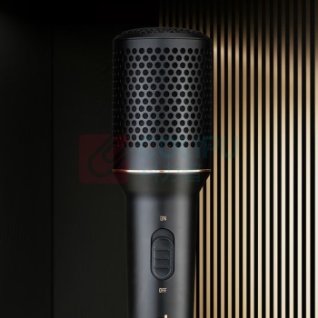 得胜 TAKSTAR 麦克风 DM103 超心型手持式