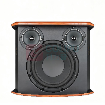 得胜 TAKSTAR 音响 H-K80 458x268x233(WxDxH) (木纹色) 家庭KTV卡包音响 电视客厅功放卡包音响影院家用