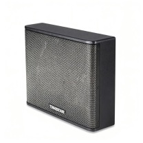 得胜 TAKSTAR 音箱 2002款 380x326x103(WxHXD) (黑色) 薄型专业音箱2002款 小型会议室教室背景音乐播放场合120W功率