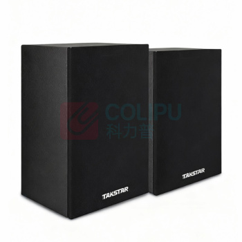 得胜 TAKSTAR 音箱 SP-14 230*183*340mm (黑色) 教室壁挂音箱 声音通透穿透力强 适用于教学教室(需搭配SP系列产品使用)