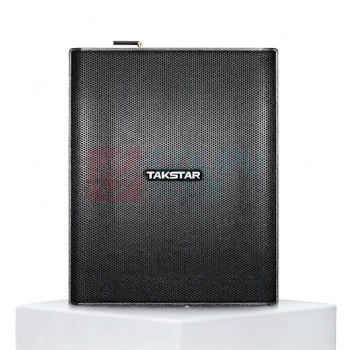 得胜 TAKSTAR 音箱 SP-16A 420*320*50mm (黑色) 平板音箱 平板喇叭外形纤薄安装方便适用于教学教室(需搭配SP系列产品使用)