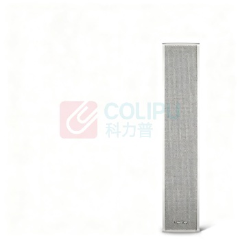 得胜 TAKSTAR 广播音柱 EBS-100W 225*120*1170mm 广播音柱 壁挂广播音柱 广告户外防水工程应用 拉铝外壳壁挂式音箱