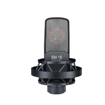 得胜 TAKSTAR 电容麦克风 SM-18 大振膜 不带声卡 (黑色)