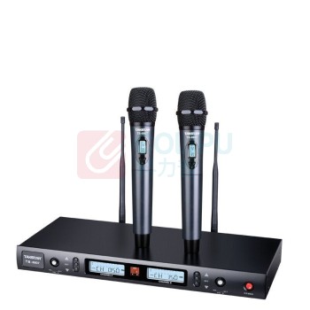 得胜 TAKSTAR 一拖二无线话筒 TS-8807 U段可调频