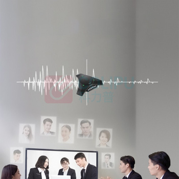 宏视道 HOSODO USB+无线适配器全向麦克风 HSD-MC810W 适合60平米会议室