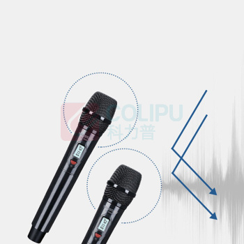 得胜 TAKSTAR 无线话筒 TS-8808HH 一拖二 (黑色)