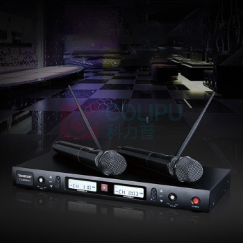 得胜 TAKSTAR 无线话筒 TS-8808HH 一拖二 (黑色)