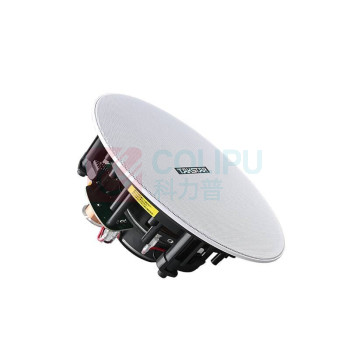 得胜 TAKSTAR 音响设备 EBS-630 定阻吸顶音响