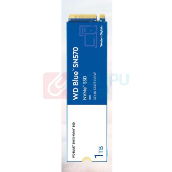 西部数据 WD SSD固态硬盘 WD Blue SN570 1TB