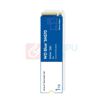 西部数据 WD SSD固态硬盘 WD Blue SN570 1TB