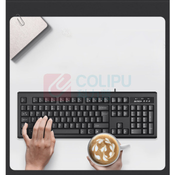 双飞燕 A4TECH 有线键盘 WK-100