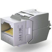 山泽 SAMZHE RJ45网络模块 WPB-016 六类屏蔽 网络电话 信息模块超五类 六类 工程镀金版 屏蔽 免打模块