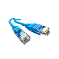 胜为 六类网线 LC-6050C RJ45公对公 CAT6千兆 阻燃线材 24AWG 无氧铜 5米/条 (蓝色)