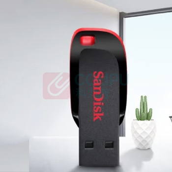 闪迪 SANDISK U盘 4G