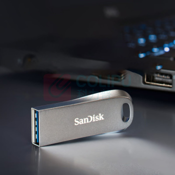 闪迪 SANDISK U盘 CZ74 256GB