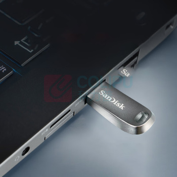 闪迪 SANDISK U盘 CZ74 256GB