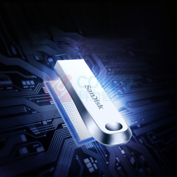闪迪 SANDISK U盘 CZ74 256GB