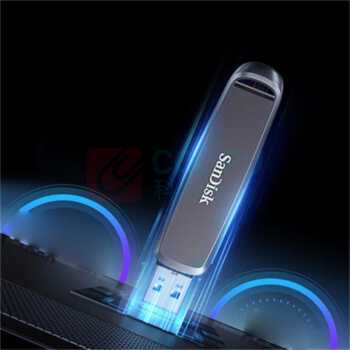 闪迪 SANDISK 高速固态U盘 DDE1 256G