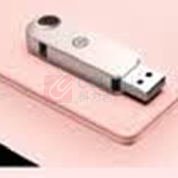 华硕 ASUS U盘 64GB USB3.2Gen 1 (鸯尾紫)