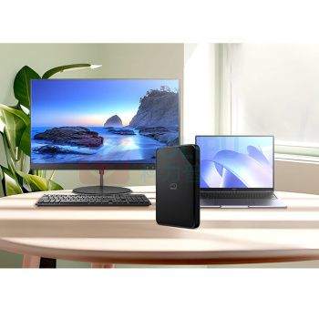 西部数据 WD 移动硬盘 2.5寸 5TB