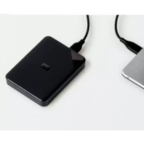 西部数据 WD 超便携移动硬盘 E-SE-WD Discovery 4T (黑色)