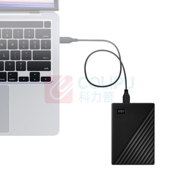 西部数据 WD 移动固态硬盘 随行版 2TB (蓝色)