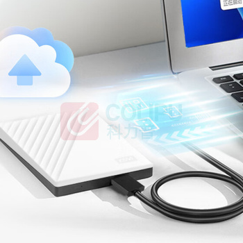 西部数据 WD 移动硬盘 My Passport 2TB USB3.0 2.5英寸 白 机械硬盘 (白)