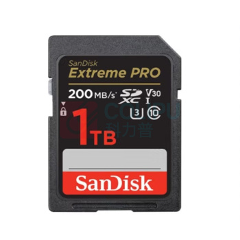 闪迪 SANDISK 相机内存卡4K读速高达200Mb/s微单反摄像TF存储卡 v30 1TB