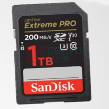 闪迪 SANDISK 相机内存卡4K读速高达200Mb/s微单反摄像TF存储卡 v30 1TB