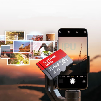 闪迪 SANDISK TF卡 监控内存卡行车记录仪存储卡手机内存MicroSD卡 至尊高速 256G 150MB/S