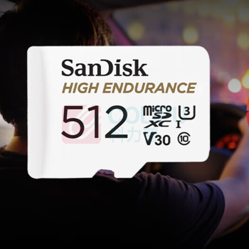 闪迪 SANDISK 内存卡 TF(MicroSD) 512GB 读速100MB/s