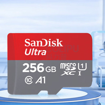 闪迪 SANDISK 内存卡 至尊高速移动版 SDSQUNI-256G-ZS3MN