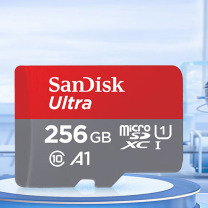闪迪 SANDISK 内存卡 至尊高速移动版 SDSQUNI-256G-ZS3MN