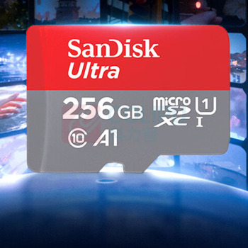 闪迪 SANDISK TF(MicroSD)内存卡 256GB